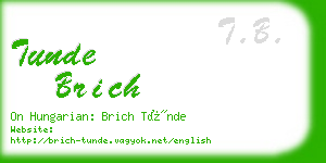 tunde brich business card